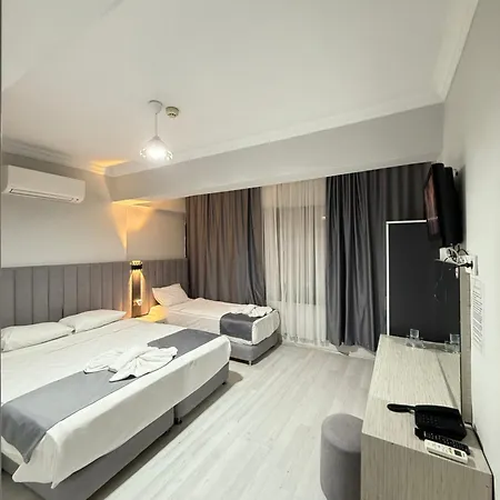 Hotel Ertas 3*